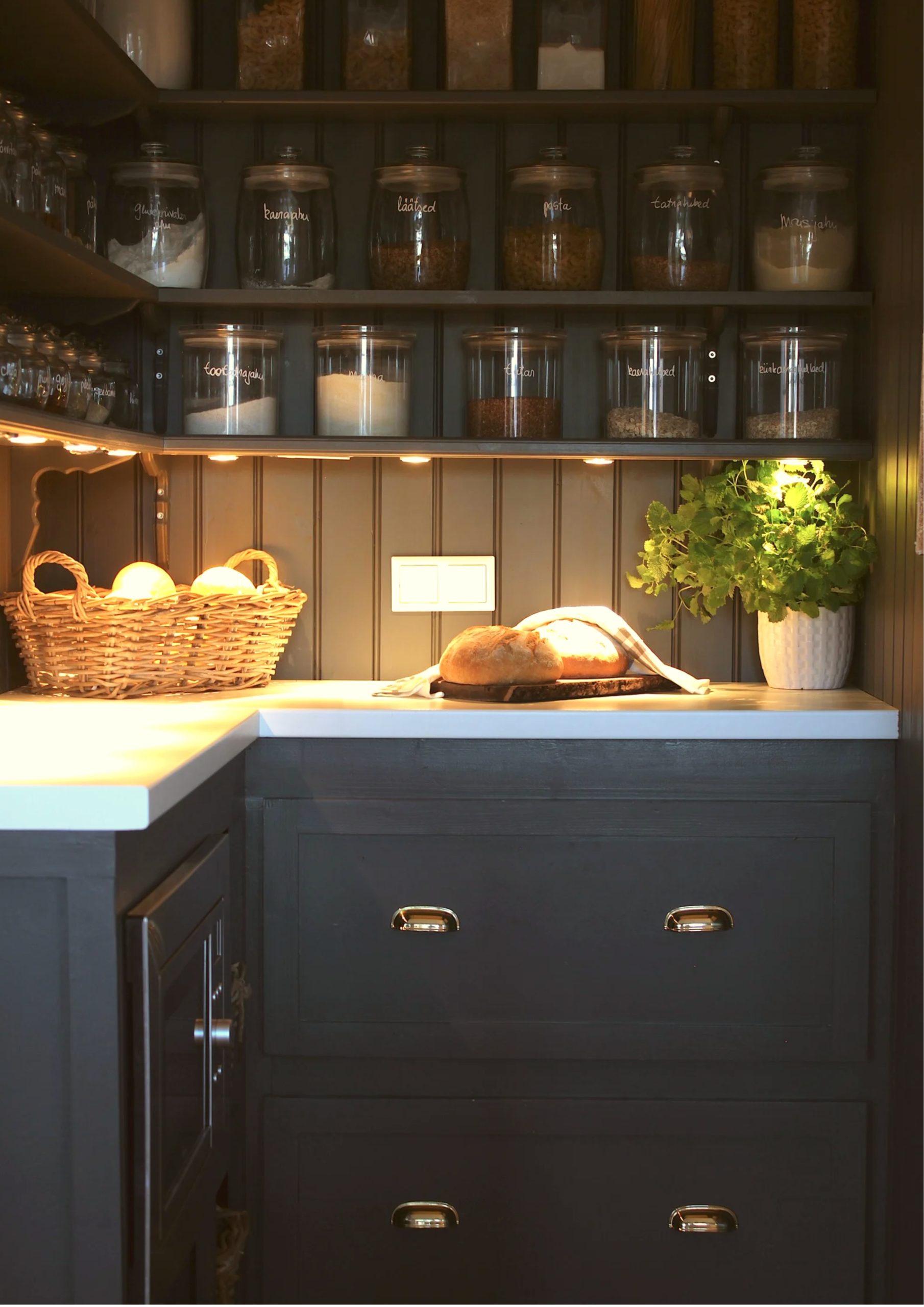 pantry, small pantry, shelves, moody kitchen